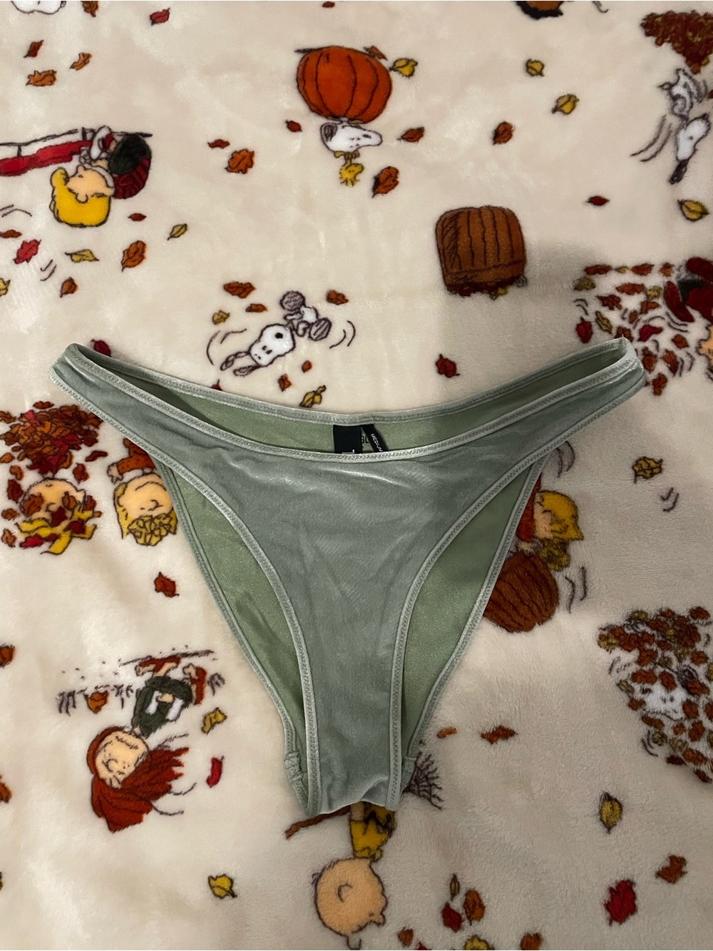 Triangl Green Velvet Bathing Suit Bottoms Sz M